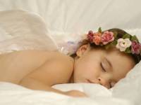 bigstockphoto_Angle__5259